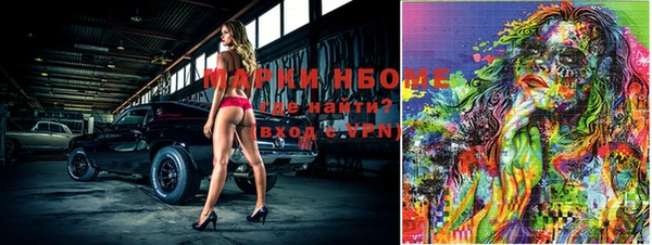 шишки Медвежьегорск