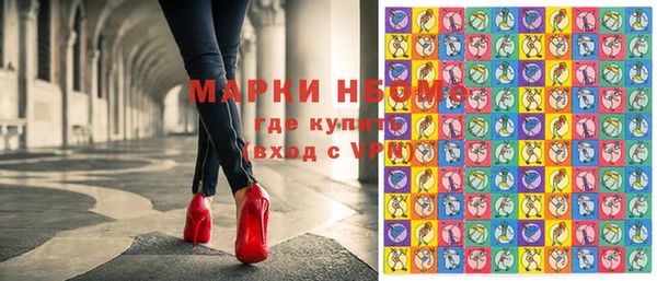 шишки Медвежьегорск