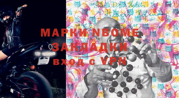 шишки Медвежьегорск
