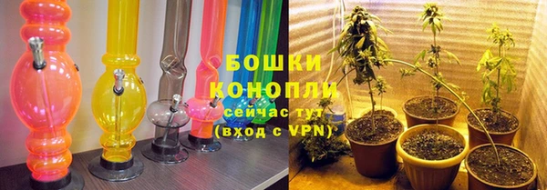 шишки Медвежьегорск