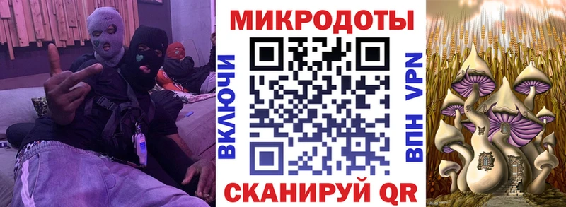 купить  цена  Ува  Псилоцибиновые грибы GOLDEN TEACHER 